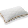 1920x1440 DR Propolis Pillow