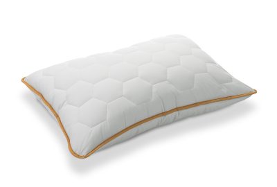1920x1440 DR Propolis Pillow